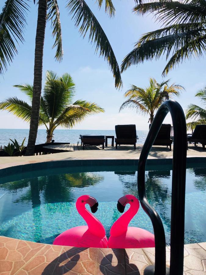 Coral Cove Inn Maya Beach Zewnętrze zdjęcie