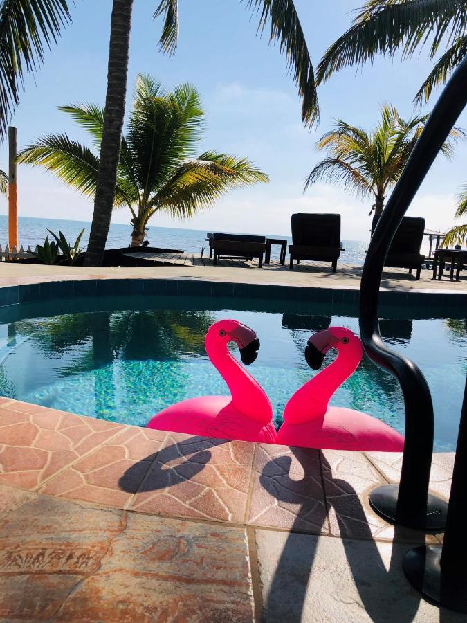 Coral Cove Inn Maya Beach Zewnętrze zdjęcie