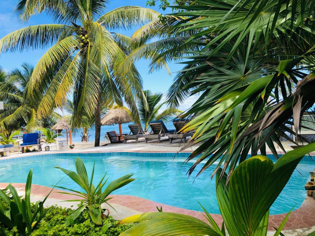 Coral Cove Inn Maya Beach Zewnętrze zdjęcie
